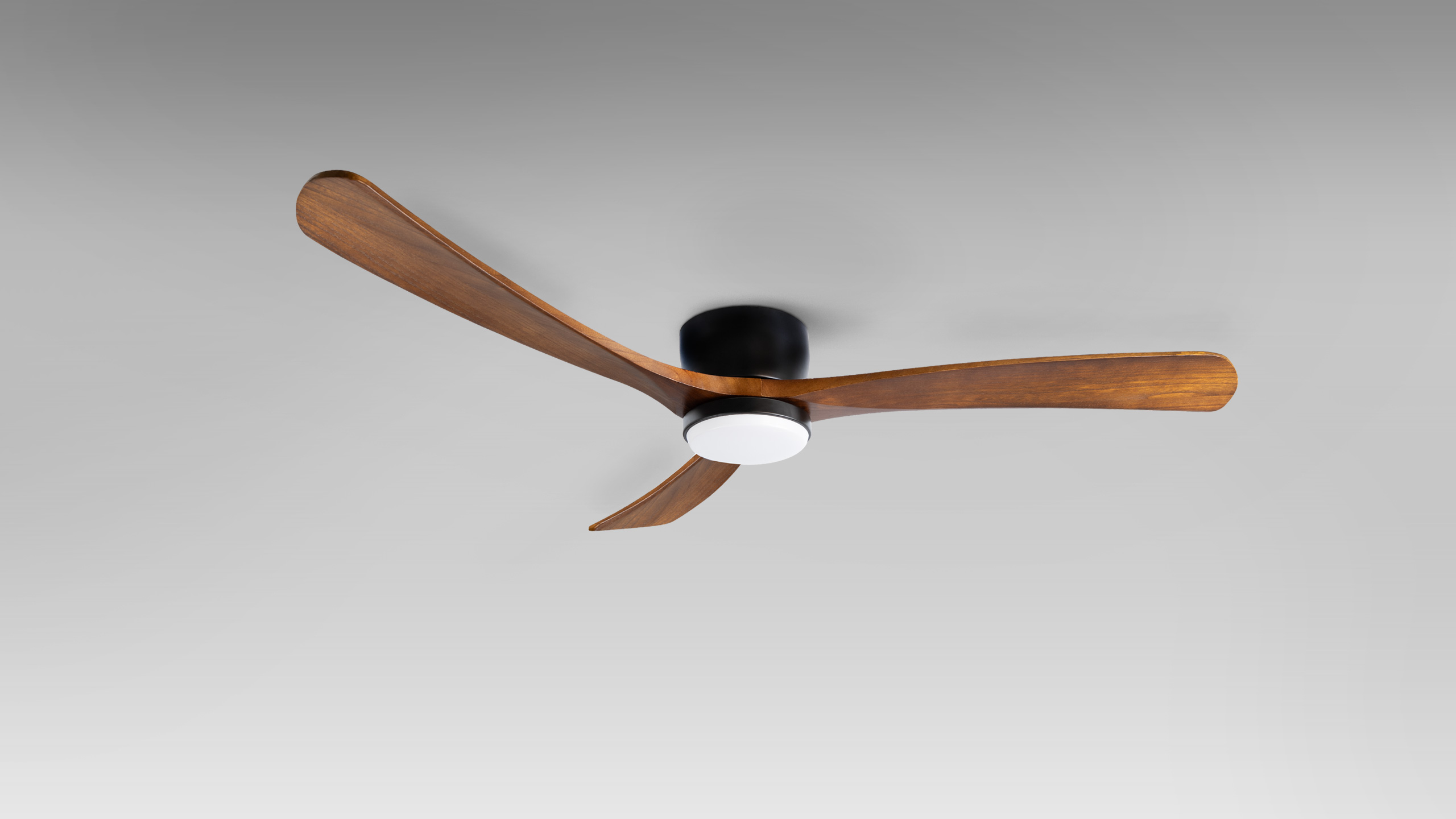 Fan Wind
