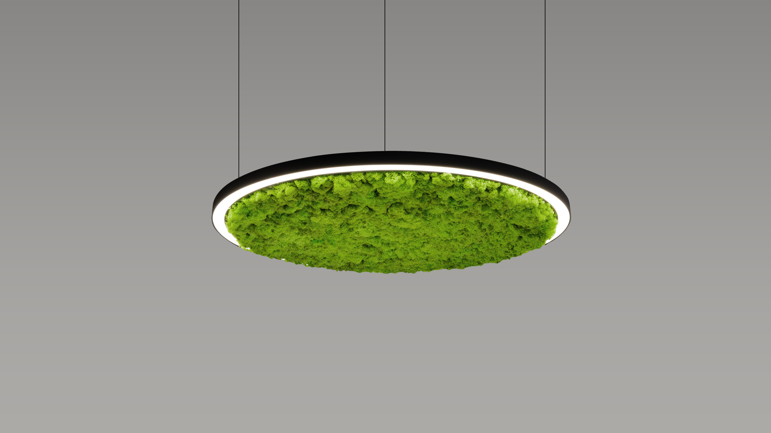 Lampă LED COOL ACOUSTIC MOSS