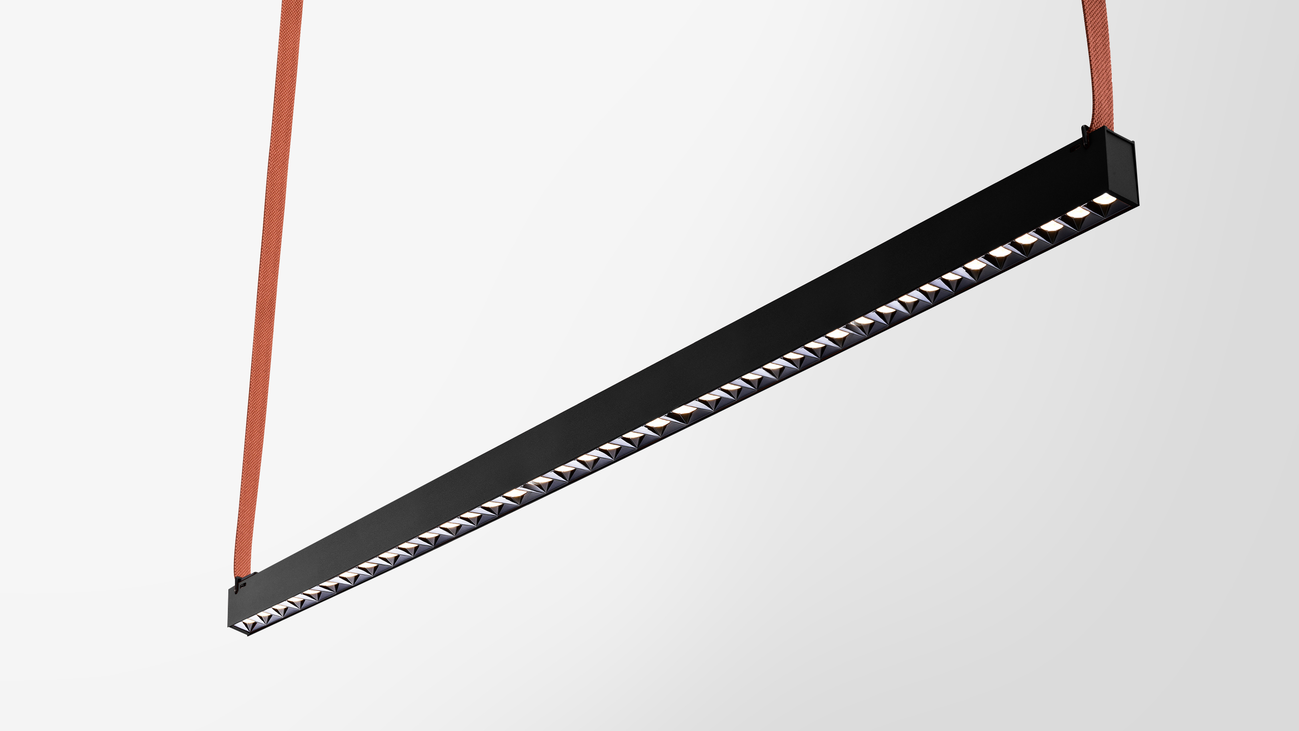 Darklight Belt